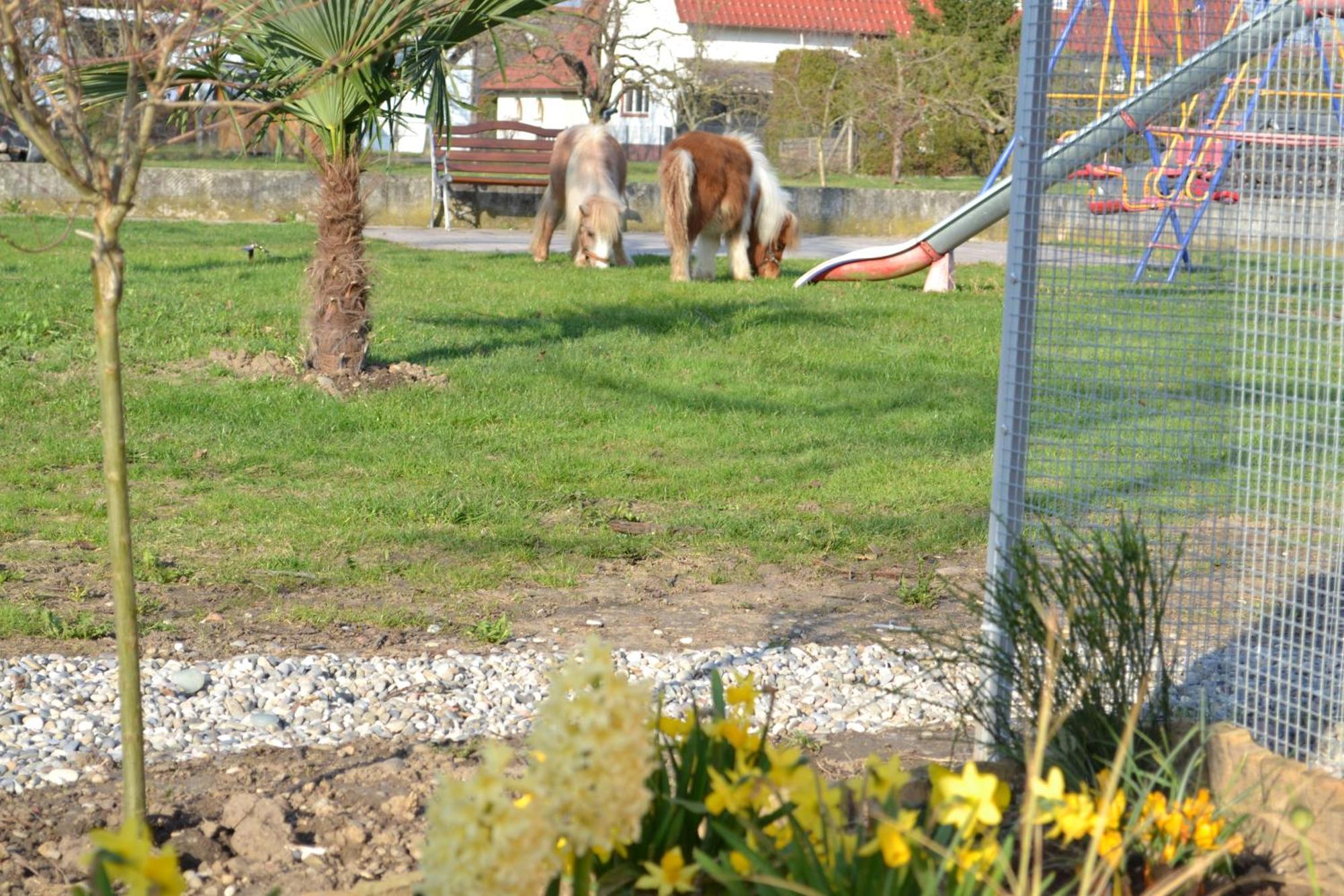 Hotel Hotel-restaurant Werneths Landgasthof Hirschen